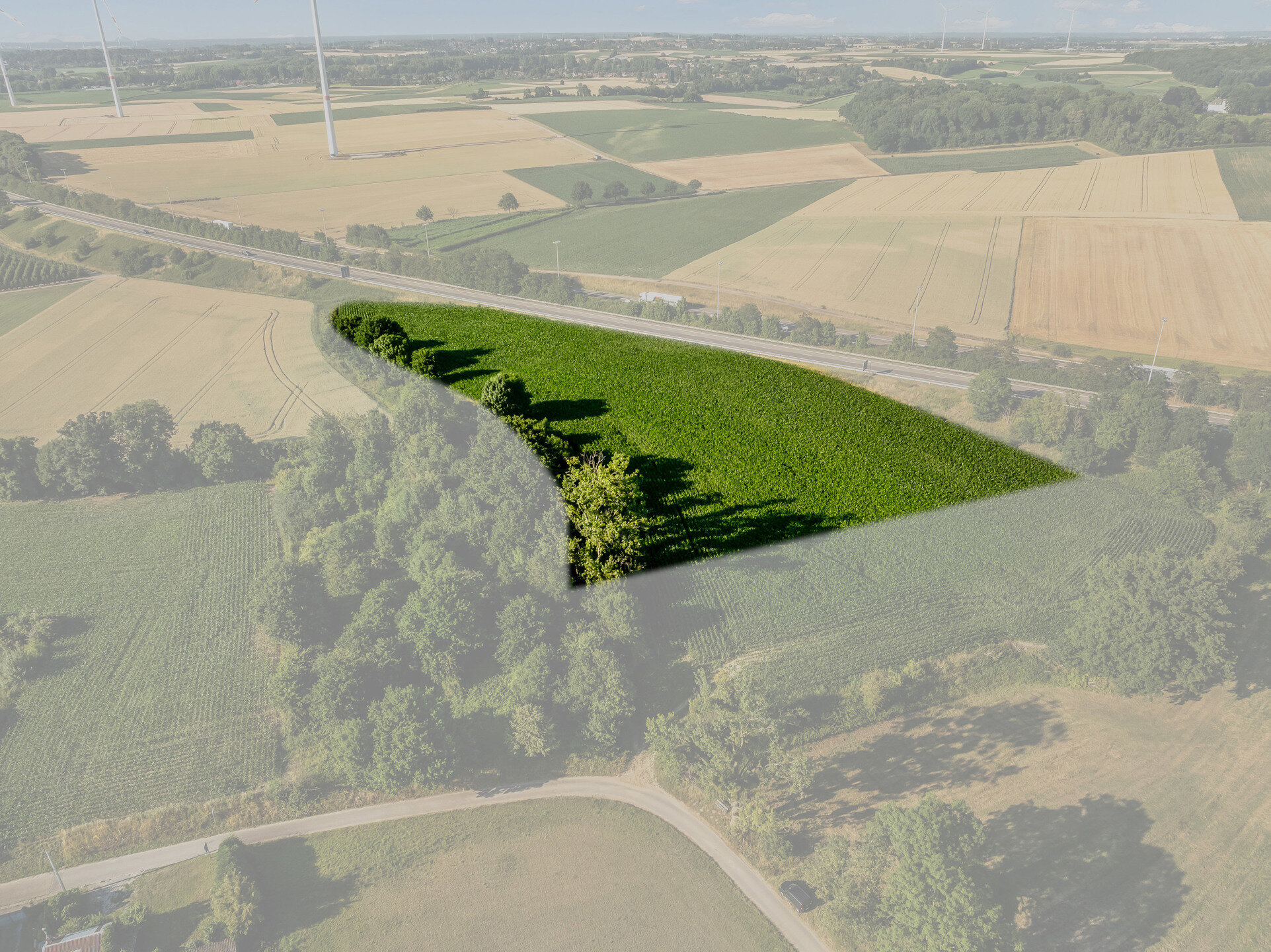 Landbouwgrond te koop in Tongeren-Borgloon