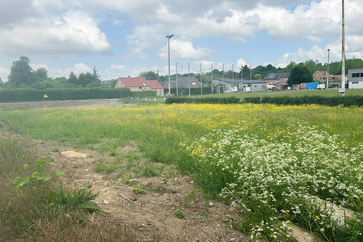 Bouwgrond te koop in Bassenge