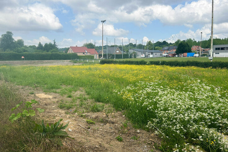 Bouwgrond te koop in Bassenge