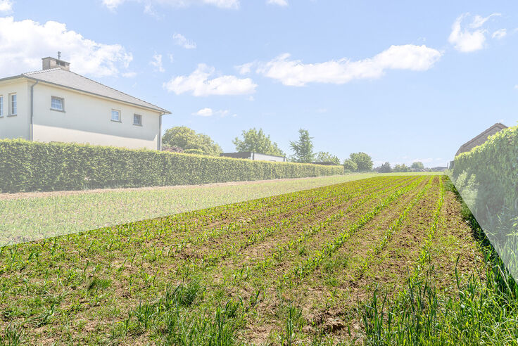 Bouwgrond te koop in Bilzen-Hoeselt