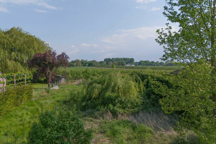 RIEMST - LAFELT Omloopstraat 33. Zuidelijk georiënteerd bouwperceel van 9a90ca, geschikt voor open bebouwing en gelegen op een bijzonder rustige locatie met een vrij uitzicht. Perceelbreedte 18m - Wg, Gvg, Gmo, Gvk, Vv. - P: A. Vraagprijs: 185.000 k.k.