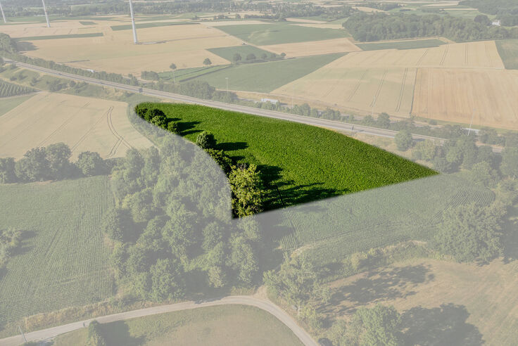 Landbouwgrond te koop in Tongeren-Borgloon