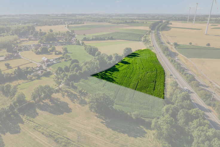 Landbouwgrond te koop in Tongeren-Borgloon