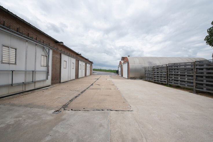 Opslagplaats te huur in Riemst