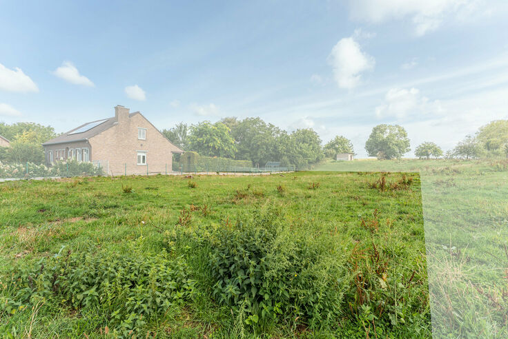 Terrain &agrave; b&acirc;tir &agrave; vendre &agrave; Riemst