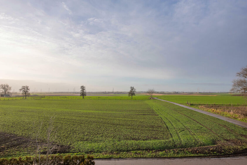 Appartement &agrave; louer &agrave; Riemst