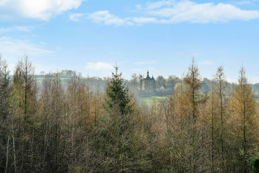 Bien exceptionnel &agrave; vendre &agrave; Dalhem