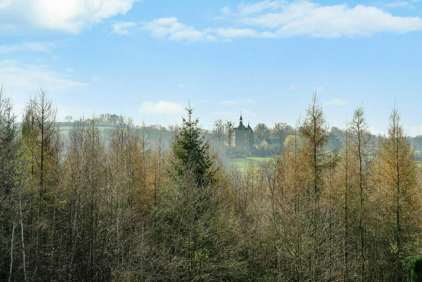 Bien exceptionnel &agrave; vendre &agrave; Dalhem