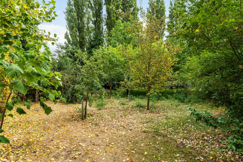 Bien exceptionnel &agrave; vendre &agrave; Riemst Vroenhoven