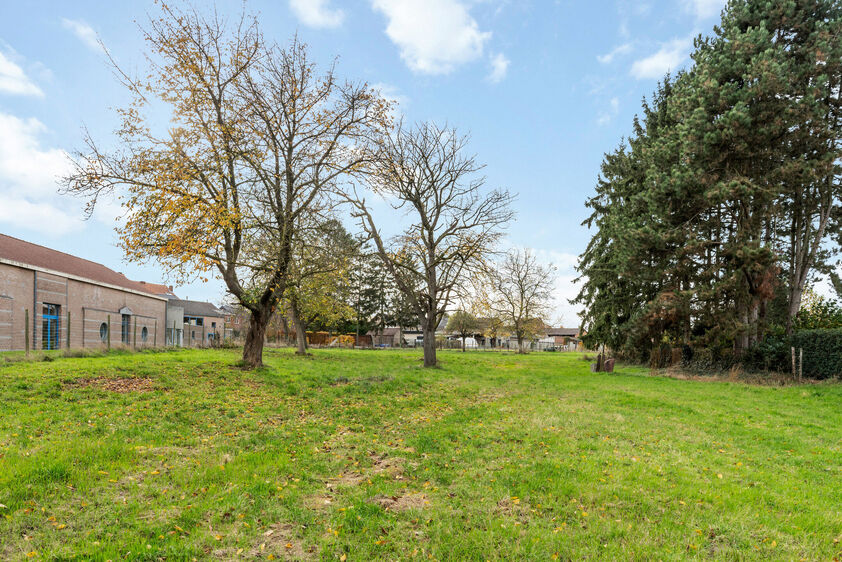 Bouwgrond te koop in Riemst