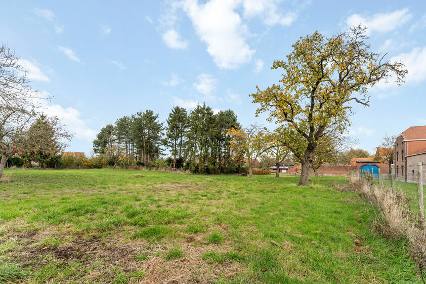 Bouwgrond te koop in Riemst