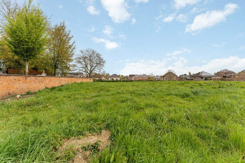 Bouwgrond te koop in Riemst