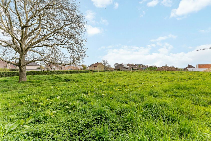 Bouwgrond te koop in Riemst