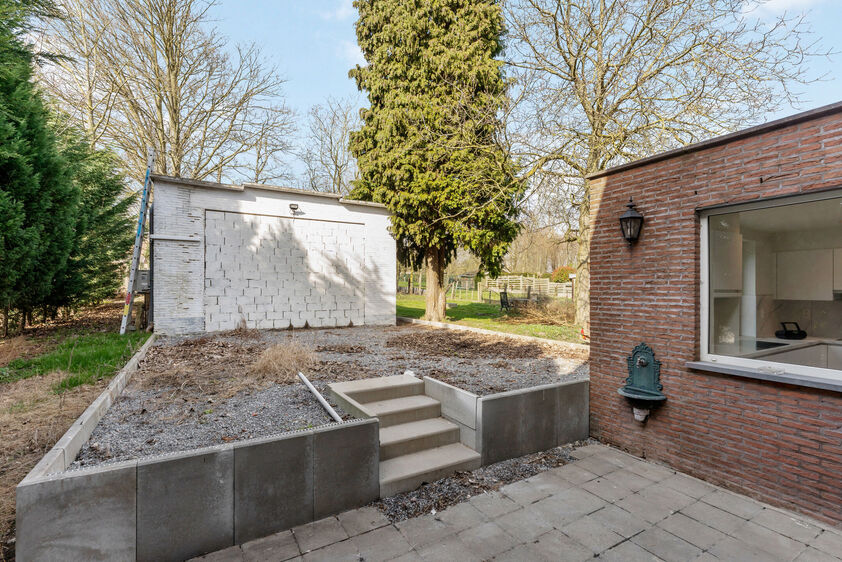 Eengezinswoning te huur in Riemst