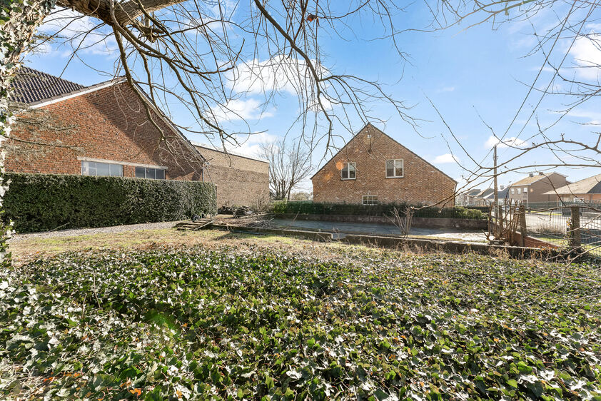 Eengezinswoning te koop in Riemst