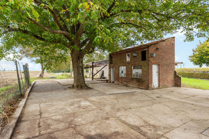 Eengezinswoning te koop in Riemst