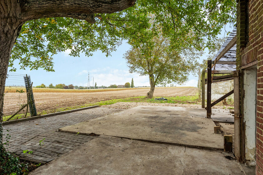 Eengezinswoning te koop in Riemst