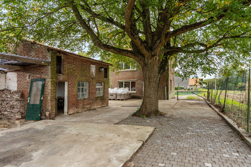 Eengezinswoning te koop in Riemst