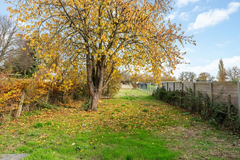 Eengezinswoning te koop in Riemst