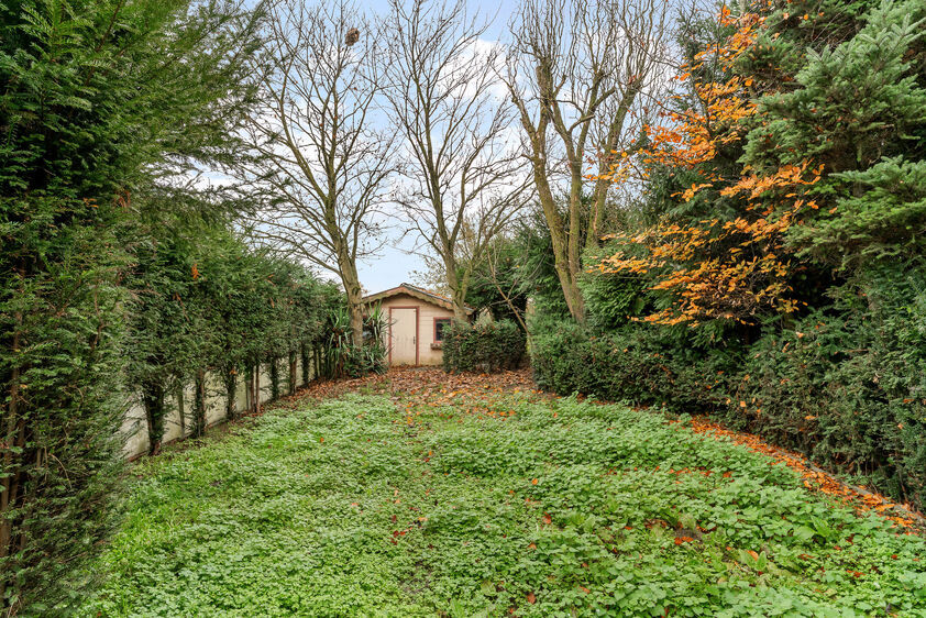 Eengezinswoning te koop in Riemst