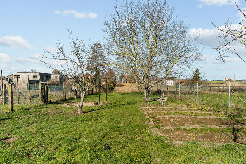 Eengezinswoning te koop in Riemst