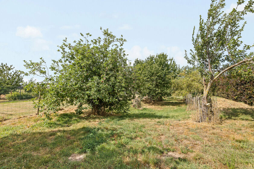 Eengezinswoning te koop in Riemst