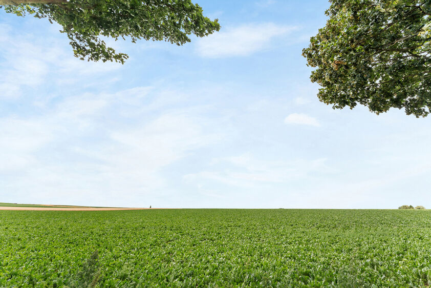 Eengezinswoning te koop in Riemst Val-Meer