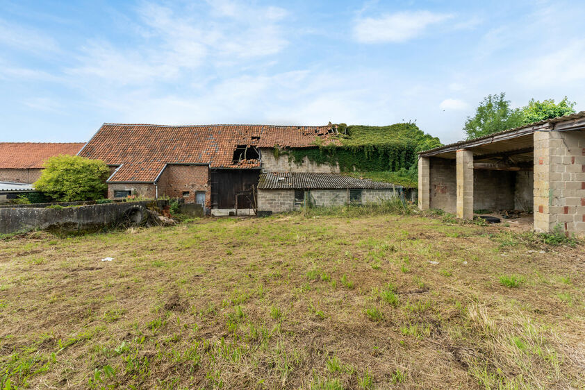Fermette à vendre à Grote-Spouwen