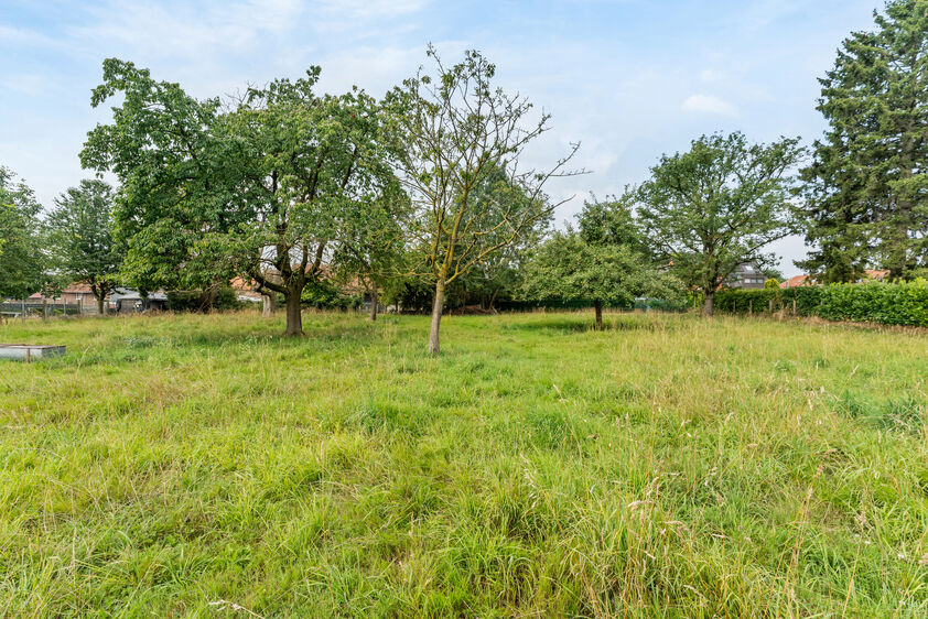 Fermette à vendre à Grote-Spouwen