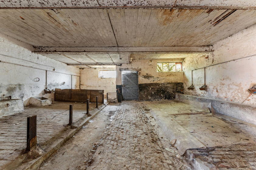 Hoeve te koop in Grote-Spouwen