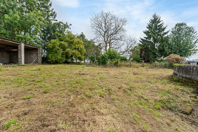 Hoeve te koop in Grote-Spouwen
