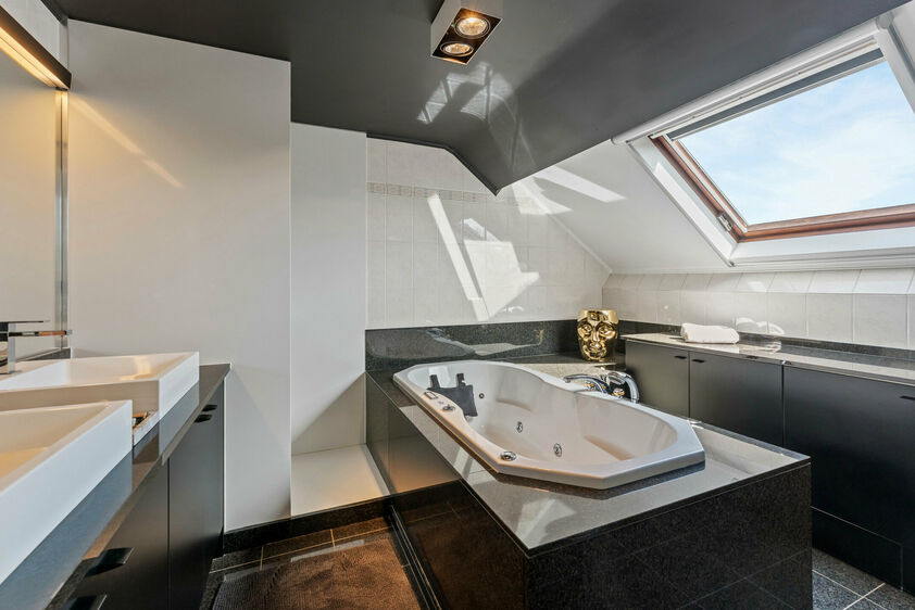 Immeuble mixte &agrave; vendre &agrave; Riemst