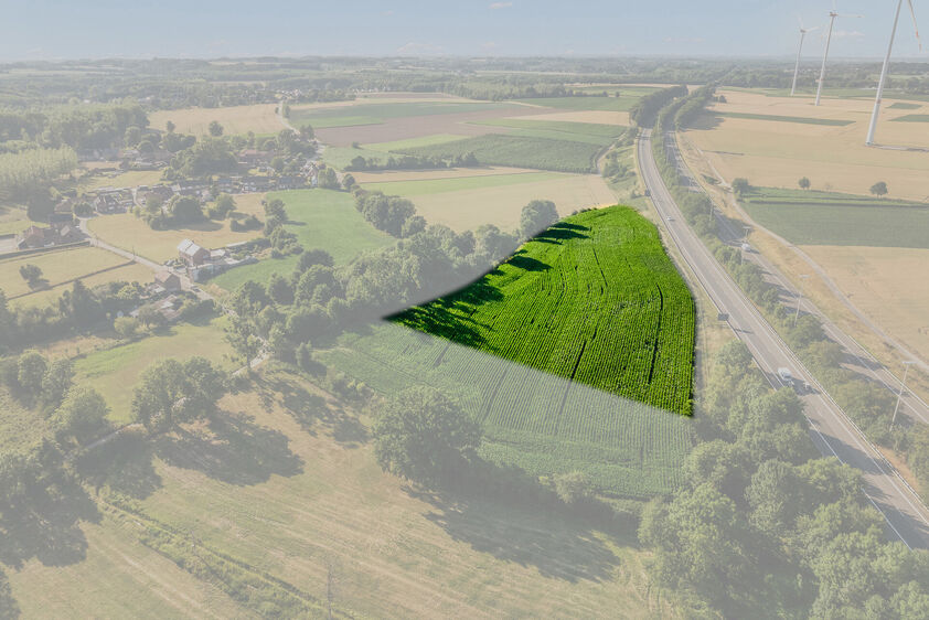 Landbouwgrond te koop in Tongeren-Borgloon