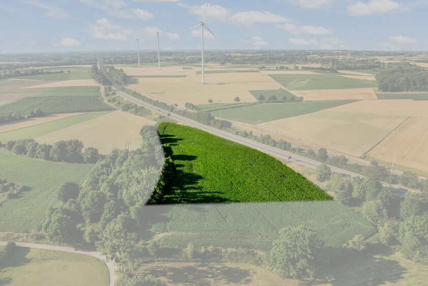 Landbouwgrond te koop in Tongeren-Borgloon