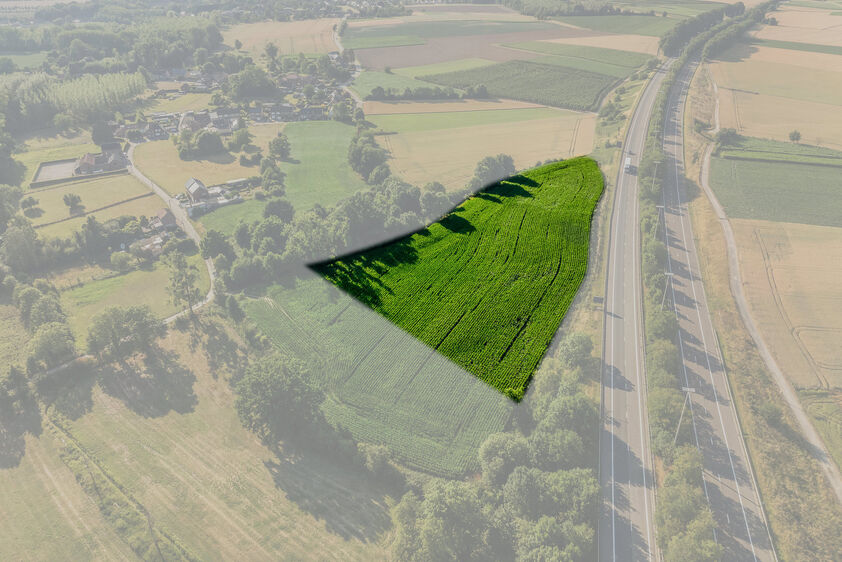 Landbouwgrond te koop in Tongeren-Borgloon