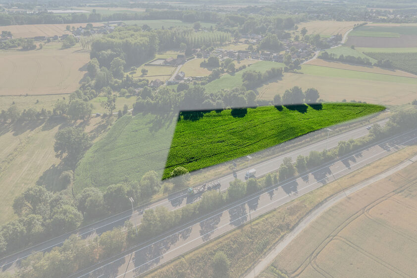 Landbouwgrond te koop in Tongeren-Borgloon