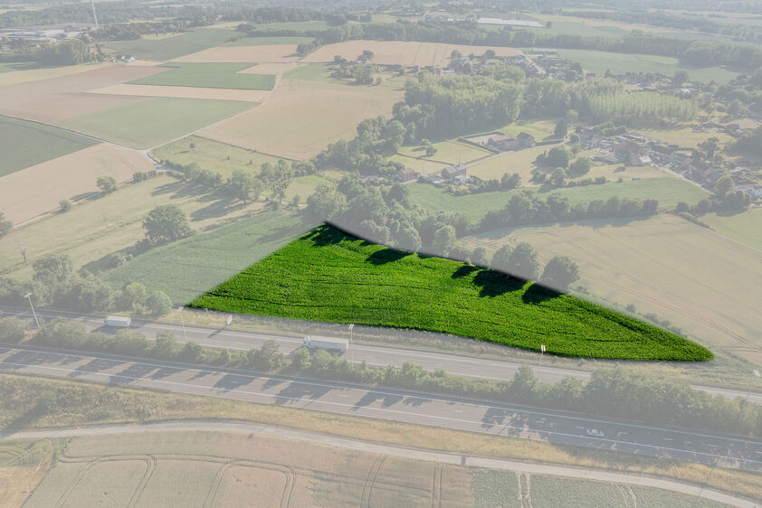 Landbouwgrond te koop in Tongeren-Borgloon
