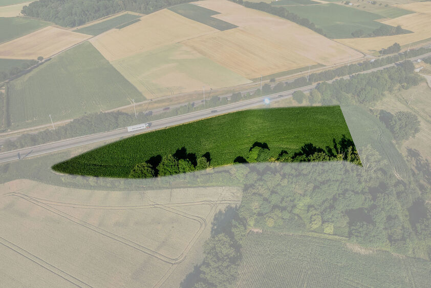 Landbouwgrond te koop in Tongeren-Borgloon
