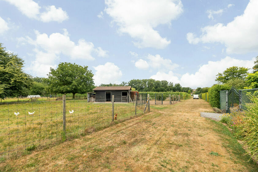 Maison unifamiliale &agrave; vendre &agrave; Bilzen-Hoeselt