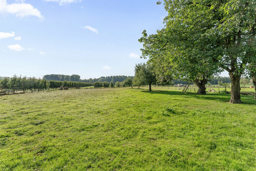 Maison unifamiliale &agrave; vendre &agrave; Bilzen-Hoeselt