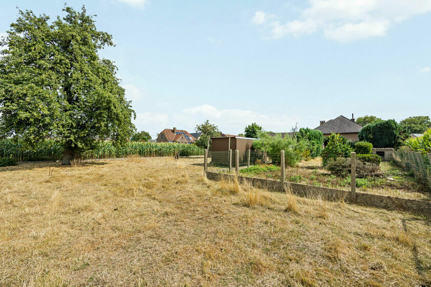 Maison unifamiliale &agrave; vendre &agrave; Lanaken , Kesselt