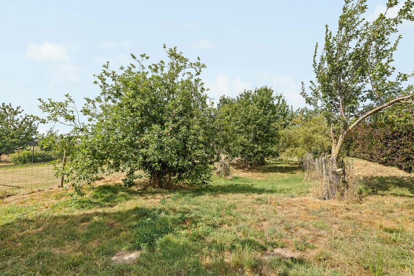 Maison unifamiliale &agrave; vendre &agrave; Riemst