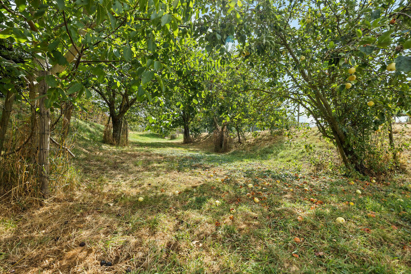 Maison unifamiliale &agrave; vendre &agrave; Riemst