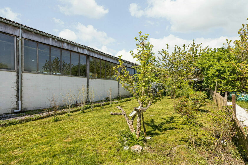 Maison unifamiliale &agrave; vendre &agrave; Tongeren