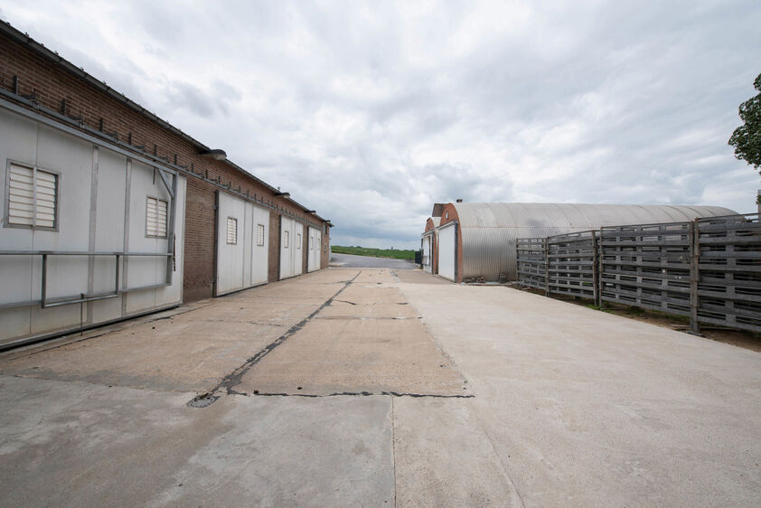 Opslagplaats te huur in Riemst