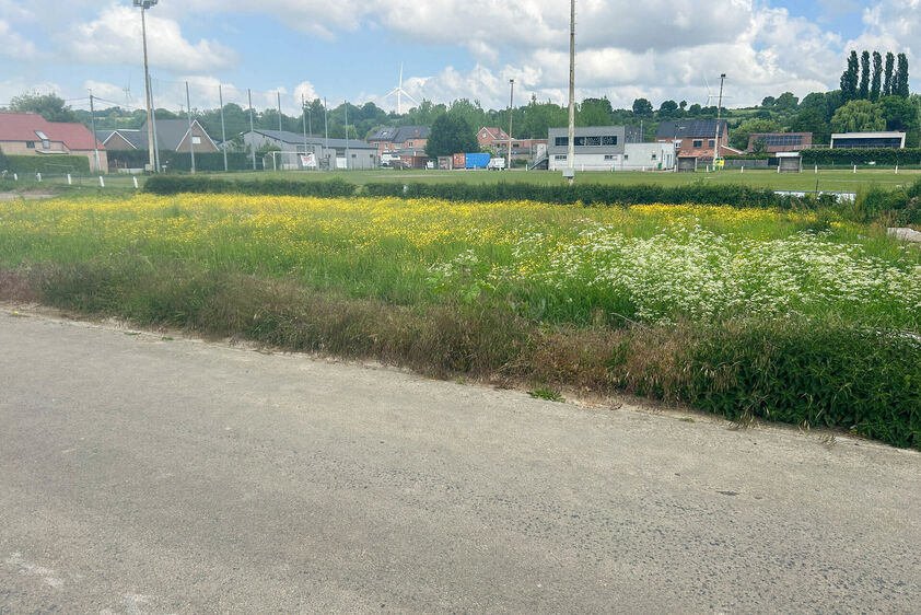 Terrain &agrave; b&acirc;tir &agrave; vendre &agrave; Bassenge