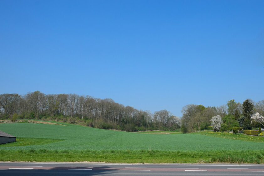 Terrain &agrave; b&acirc;tir &agrave; vendre &agrave; Bassenge Eben-Emael