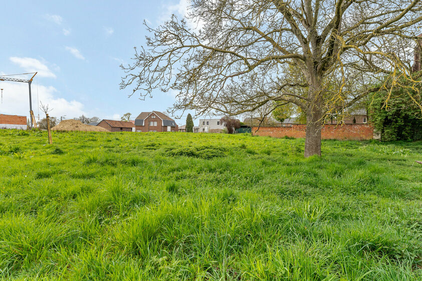 Terrain &agrave; b&acirc;tir &agrave; vendre &agrave; Riemst