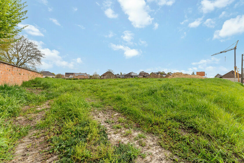 Terrain &agrave; b&acirc;tir &agrave; vendre &agrave; Riemst