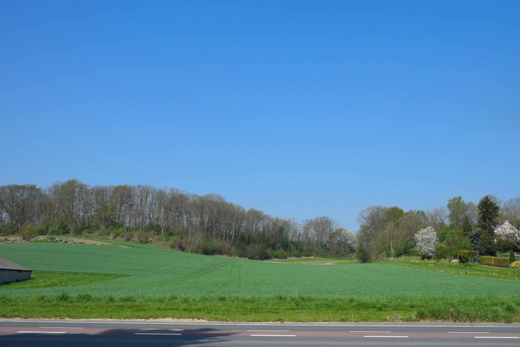 Terrain &agrave; b&acirc;tir &agrave; vendre &agrave; Bassenge Eben-Emael